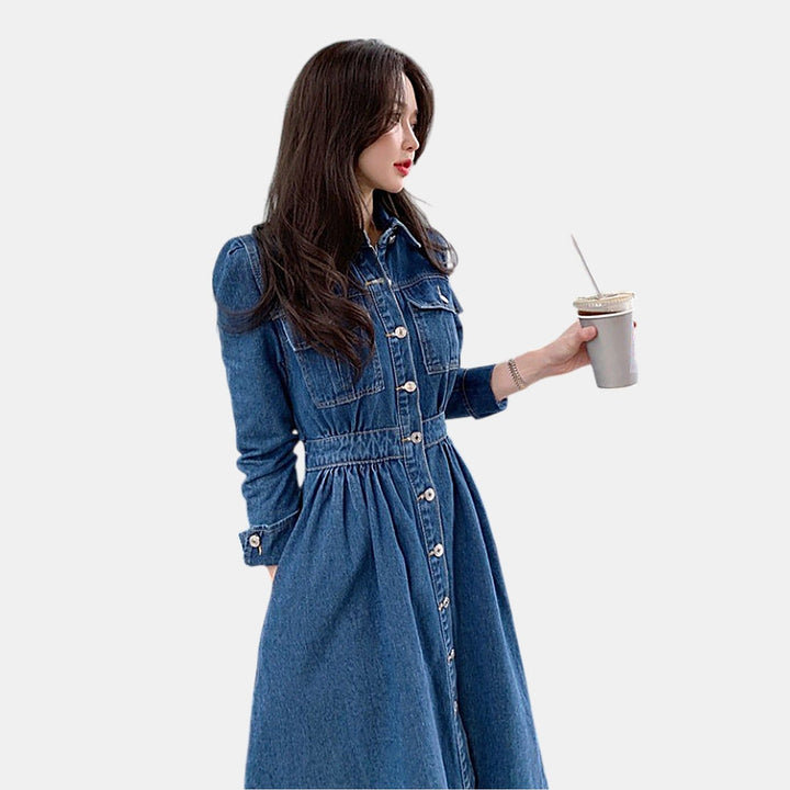 Women's Denim Midi Dress, Long Sleeve