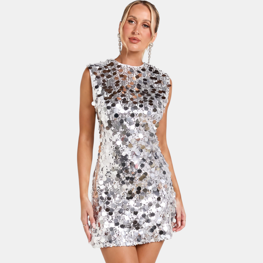 Silver Sequin
