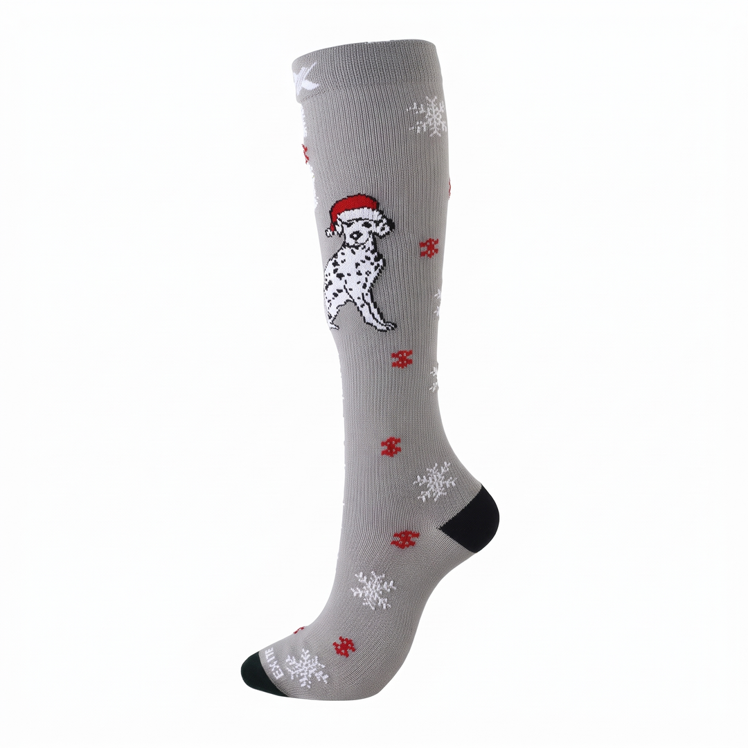 Gray Dalmatian