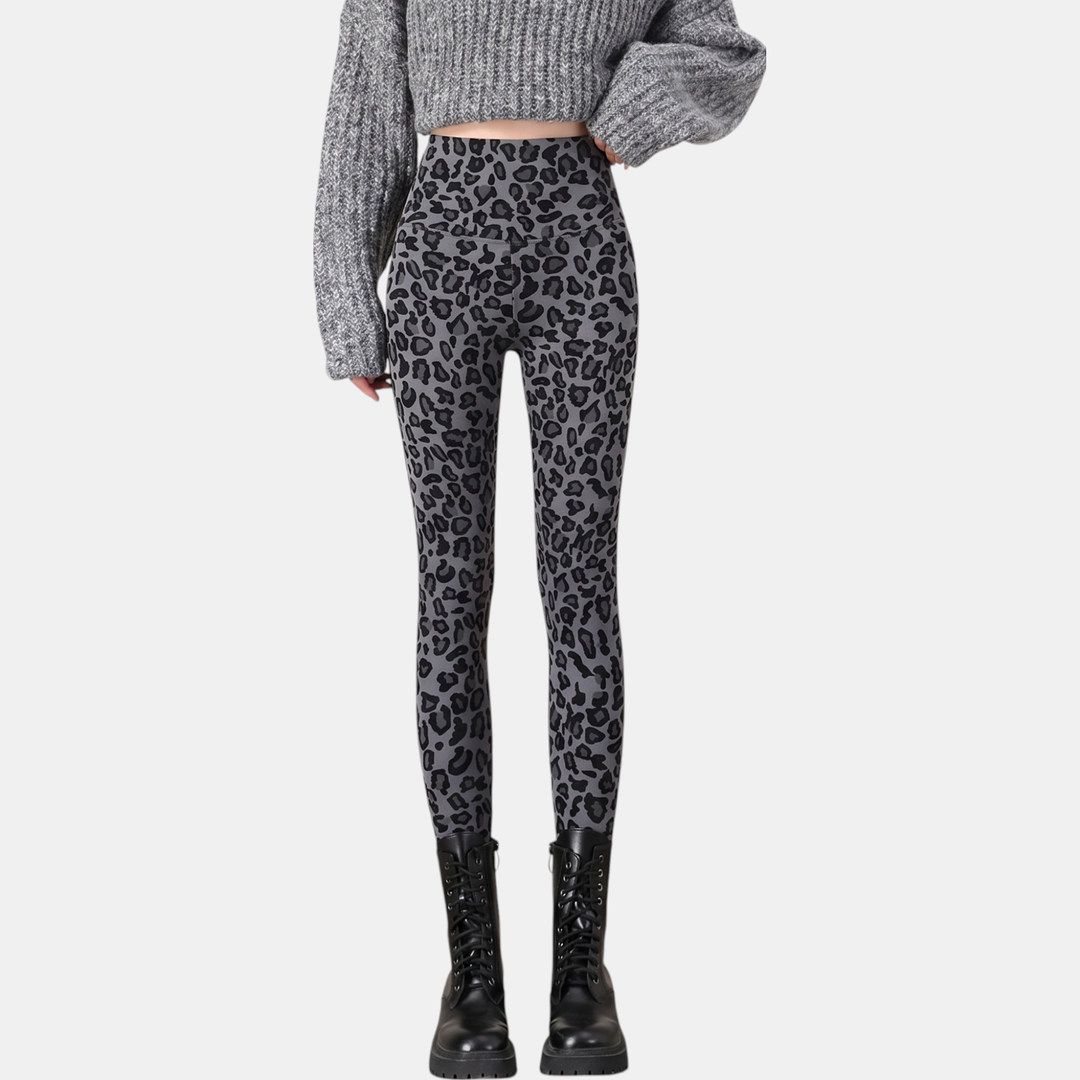 Gray Leopard